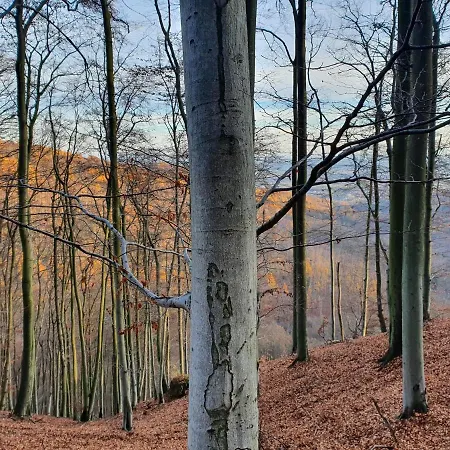 شقة Nautical