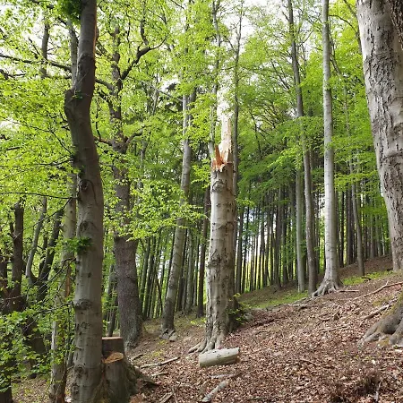 Nautical Daire Vysoka Pec (Chomutov)