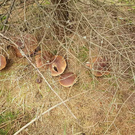 Nautical Daire Vysoka Pec (Chomutov)